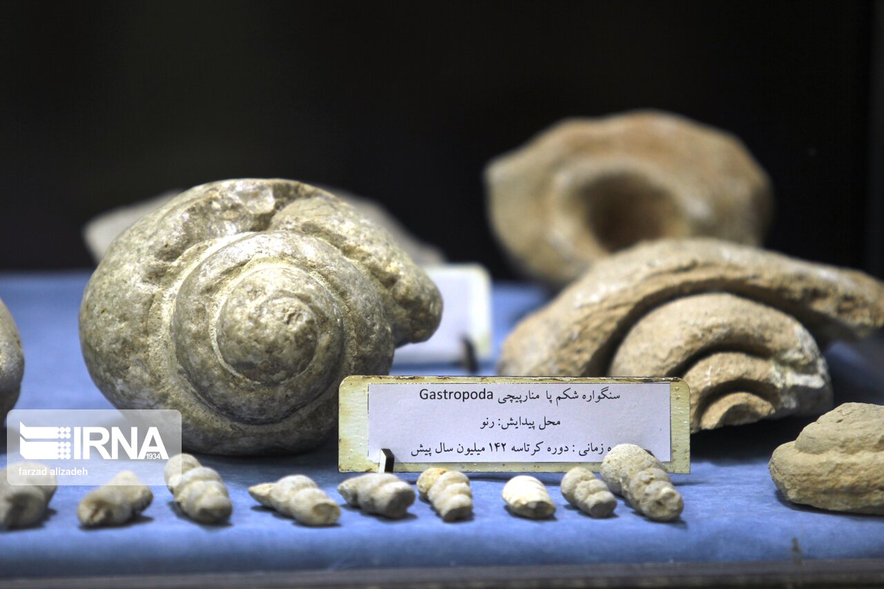 موزه سنگ و سنگواره ایلام