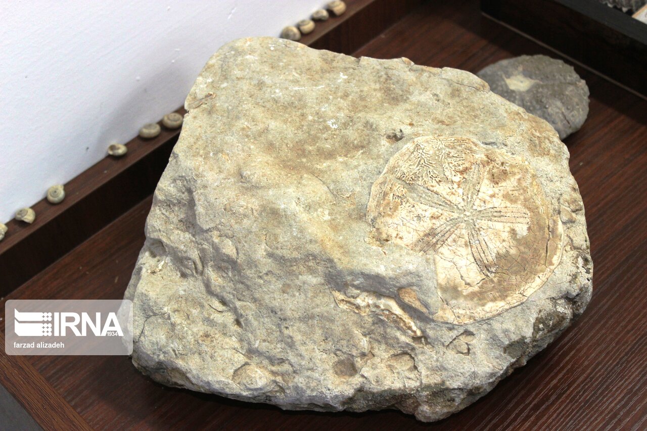 موزه سنگ و سنگواره ایلام