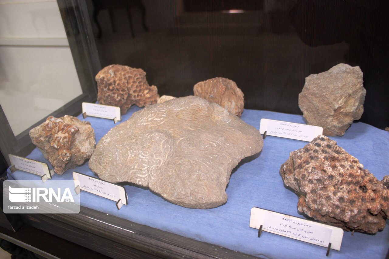 موزه سنگ و سنگواره ایلام