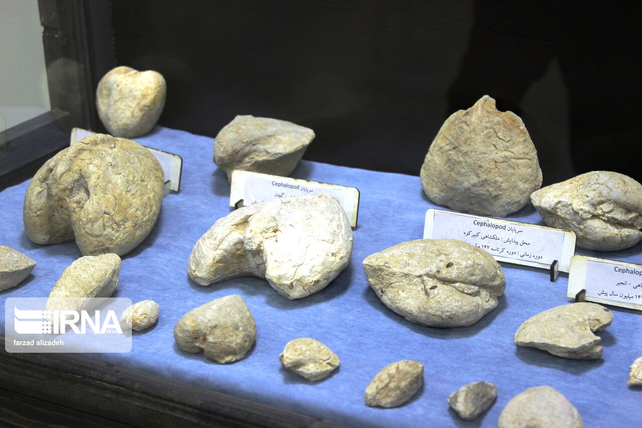 موزه سنگ و سنگواره ایلام