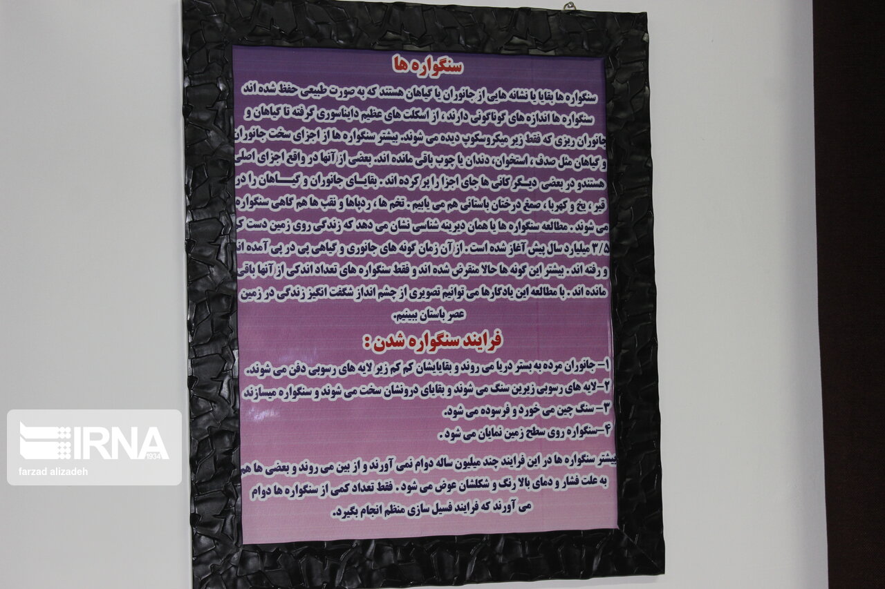 موزه سنگ و سنگواره ایلام