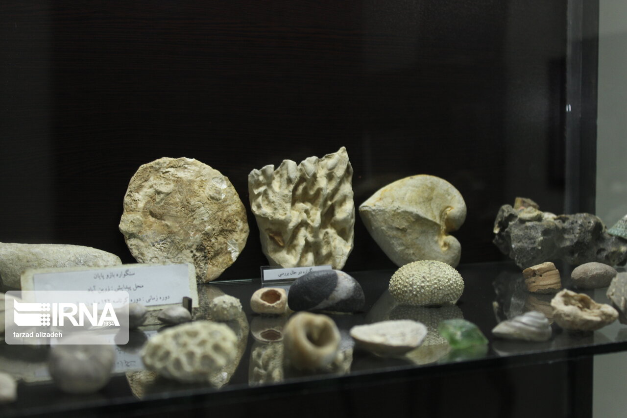 موزه سنگ و سنگواره ایلام