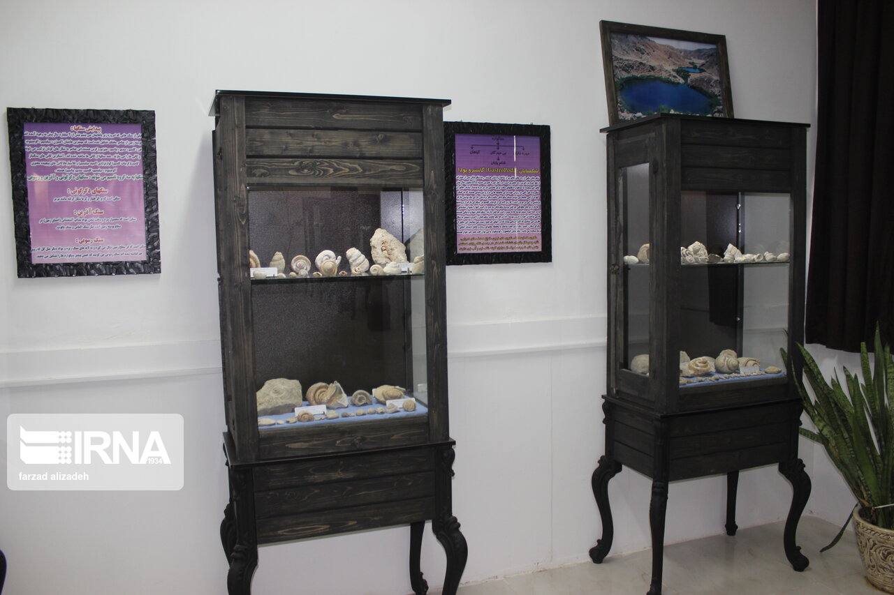 موزه سنگ و سنگواره ایلام