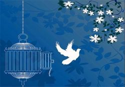 ۲۱ محکوم مالی در زنجان با کمک‌های خیرین آزاد شدند