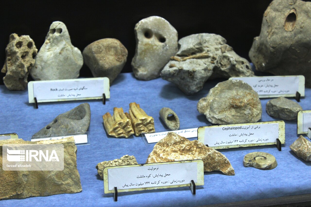 موزه سنگ و سنگواره ایلام