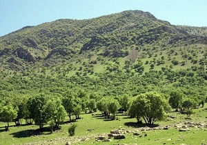 حضور در اماکن تفریحی و گردشگری اندیکا ممنوع اعلام شد