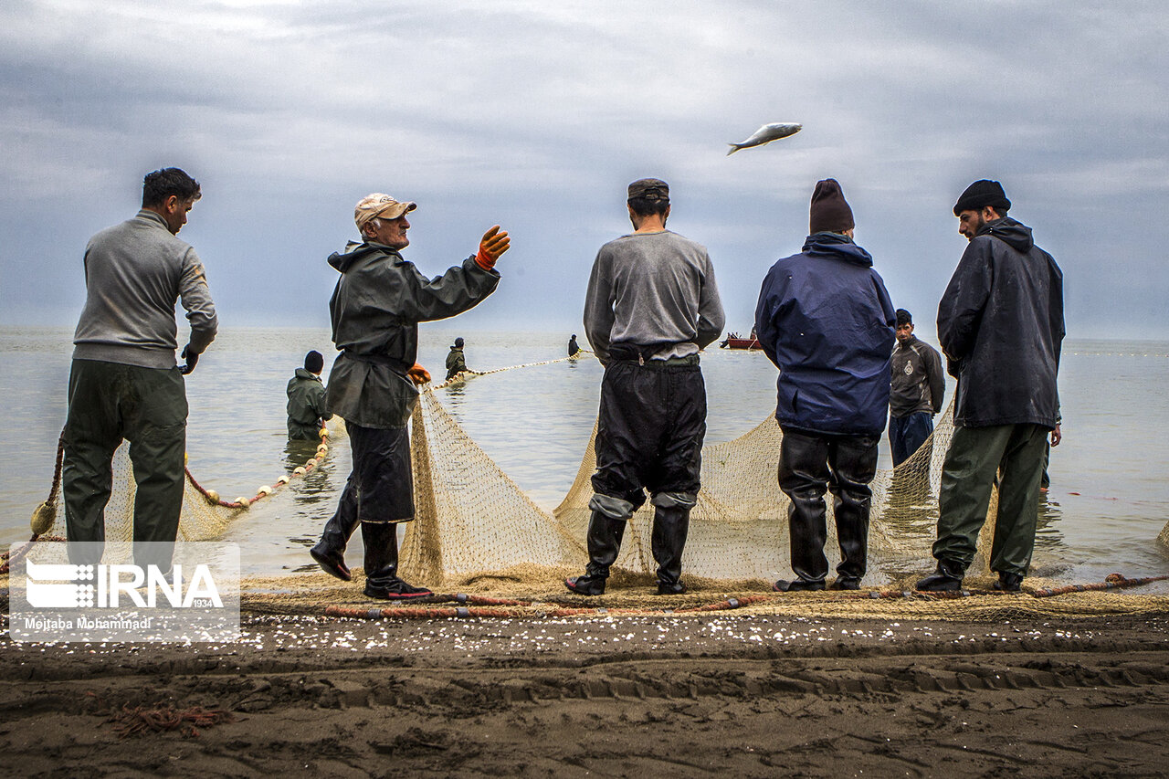 صیادان ماهیان زردپر در مانه و سملقان دستگیر شدند
