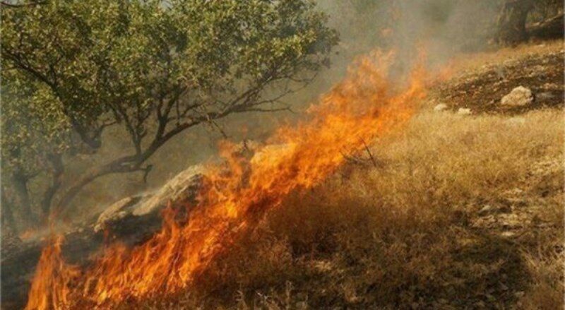 جنگل و مراتع گچساران همچنان در آتش می سوزد