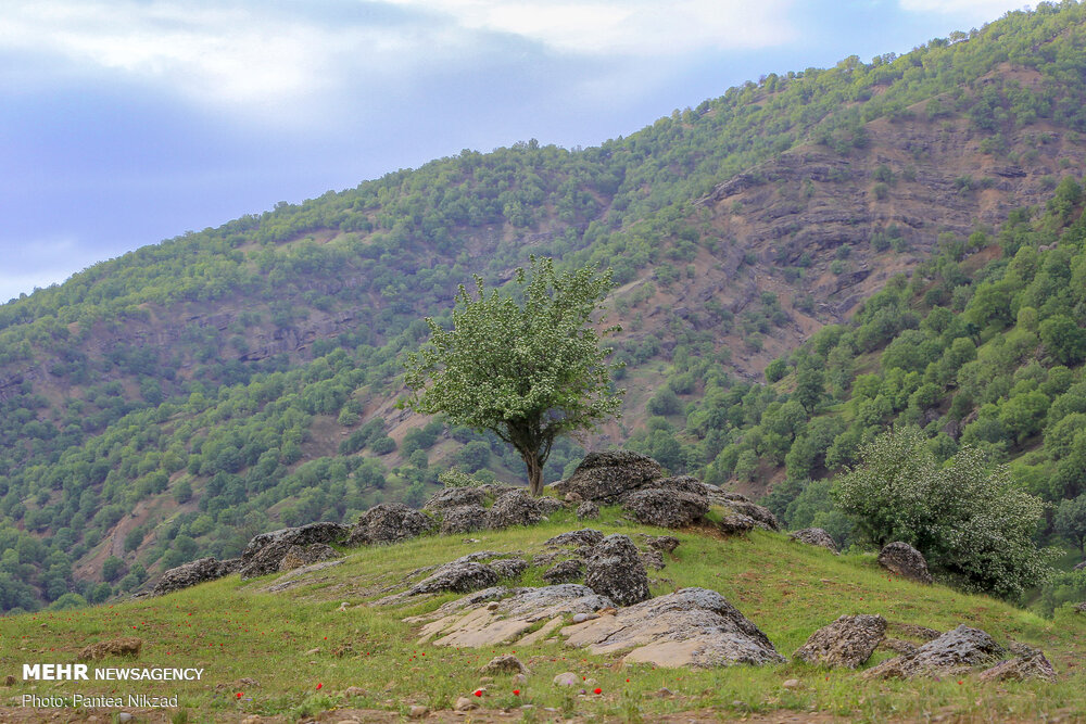 طبیعت بکر و دیدنی بازفت