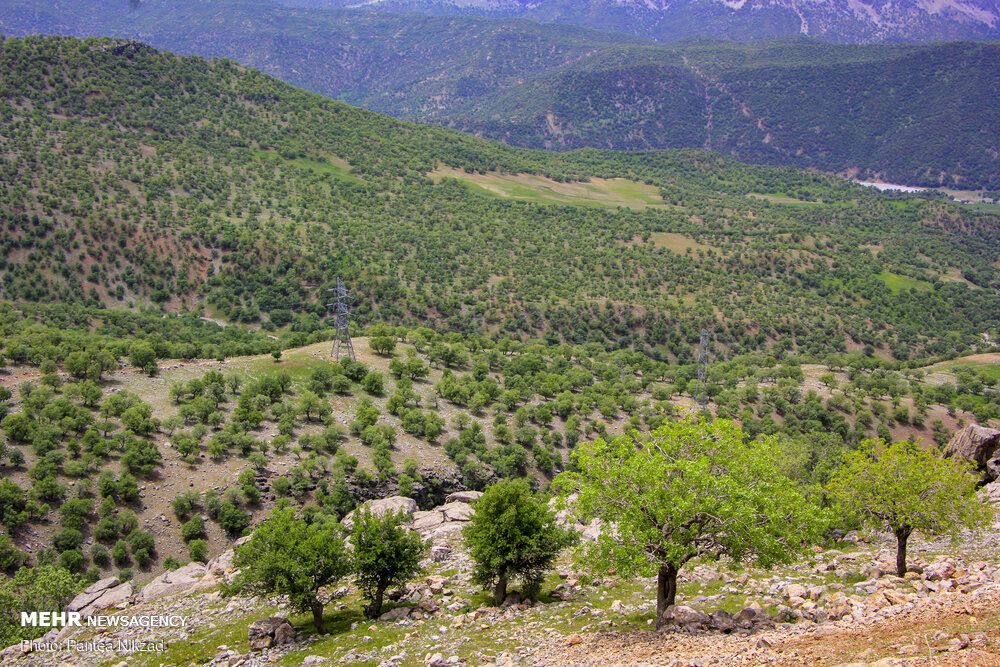طبیعت بکر و دیدنی بازفت