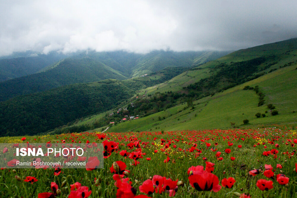 عکس های منتخب از هفته ای که گذشت