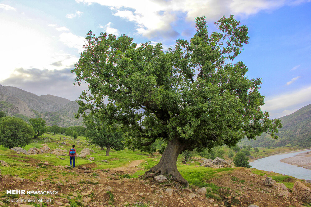 طبیعت بکر و دیدنی بازفت