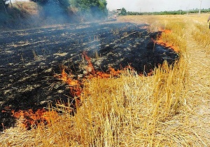 نقص فنی کمباین، آتش به جان اراضی کشاورزی باغملک انداخت