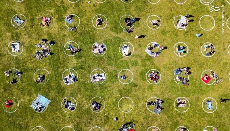 فاصله اجتماعی با کشیدن دایره در پارک
