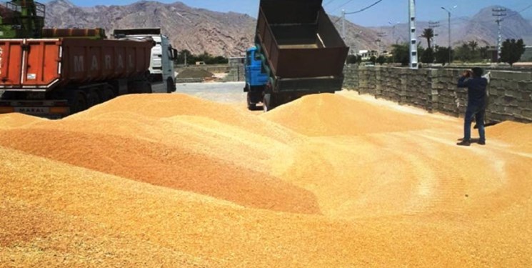 راه‌اندازی 2 مرکز خرید تضمینی گندم در کهگیلویه