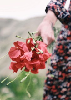 شاعرانه/ دوست داشتنت رهایی ندارد