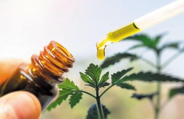 ۵ نوع داروی گیاهی جدید در دامغان تولید می‌شود