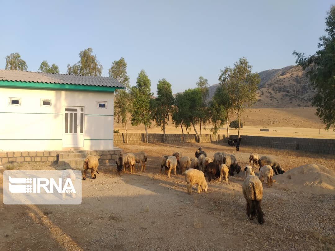 مدرسه‌ای که به محل چرای دام تبدیل شد!