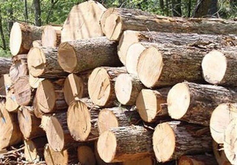 ۴۰۰ کیلوگرم چوب جنگلی قاچاق در کیار کشف شد