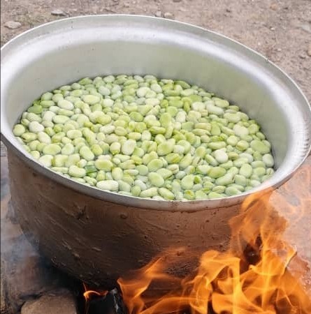 از شما/🍀باقلا🍀