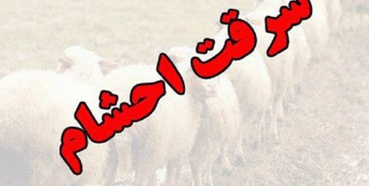 دستگیری 8 نفر از اعضای یک باند حرفه‌ای سرقت های سریالی احشام در خاش