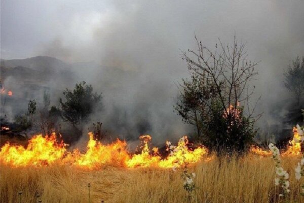 کشاورزان قزوین از آتش‌زدن بقایای خشک گیاهی در مزارع خودداری کنند