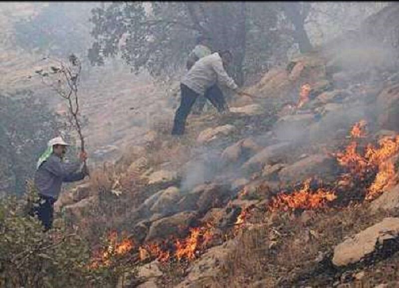 وقوع 3 فقره آتش‌سوزی در جنگل‌ها و مراتع خوزستان