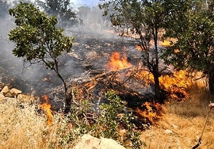 یکی از رزمندگان تیپ تکاور در عملیات اطفا حریق جان باخت