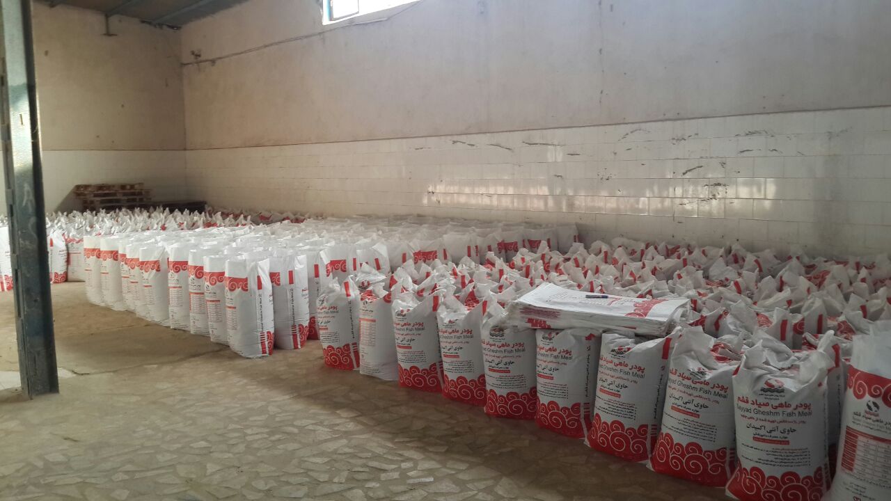 کشف محموله 5.6 تن پودر ماهی قاچاق در قشم