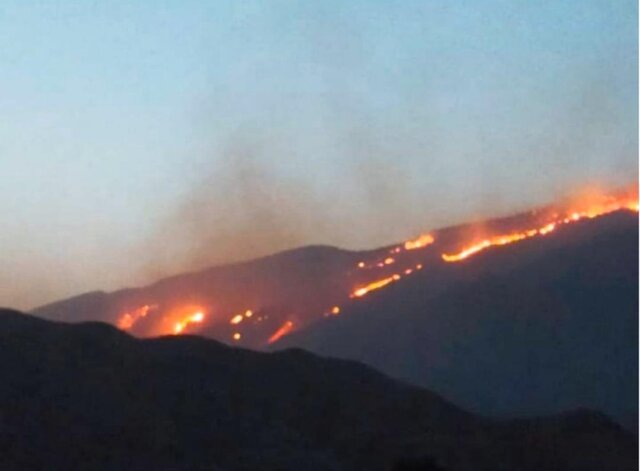 آتش سوزی گسترده در منطقه حفاطت شده خائیز کهگیلویه