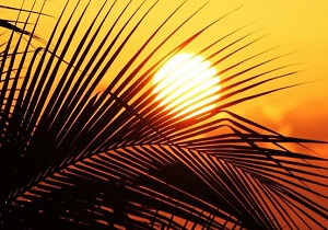 جدال گرما و گردوغبار در آسمان خوزستان