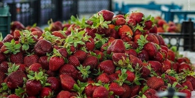 تب داغ قیمت در بازار میوه‌های تابستانه