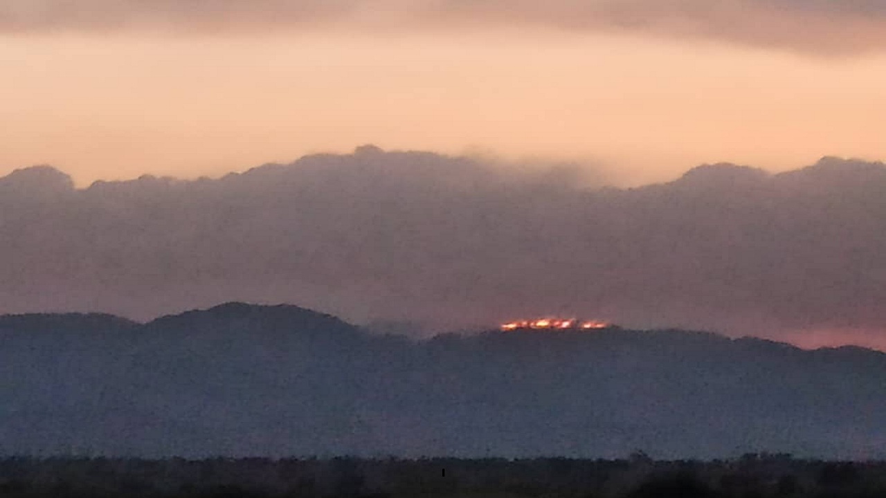 دود سیاه آتش همچنان از کوه سیاه دشتستان بر می‌خیزد