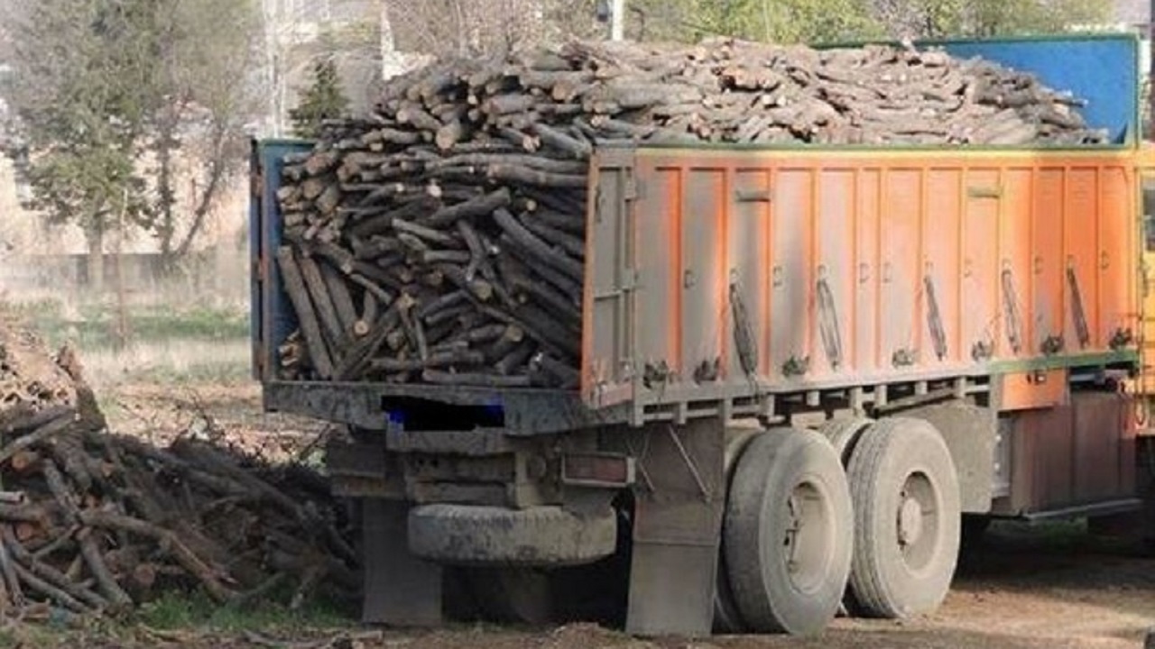 کشف ۱۶۸ کیلوگرم چوب جنگلی بلوط قاچاق در اردل