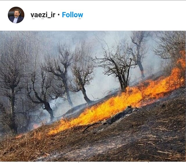 واکنش رئیس دفتر روحانی به آتش سوزی «خائیز»