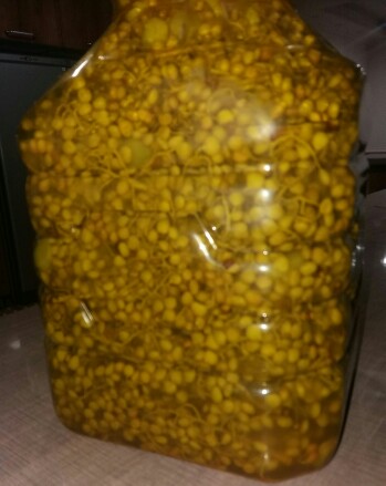 از شما/ترشي بنوشکه