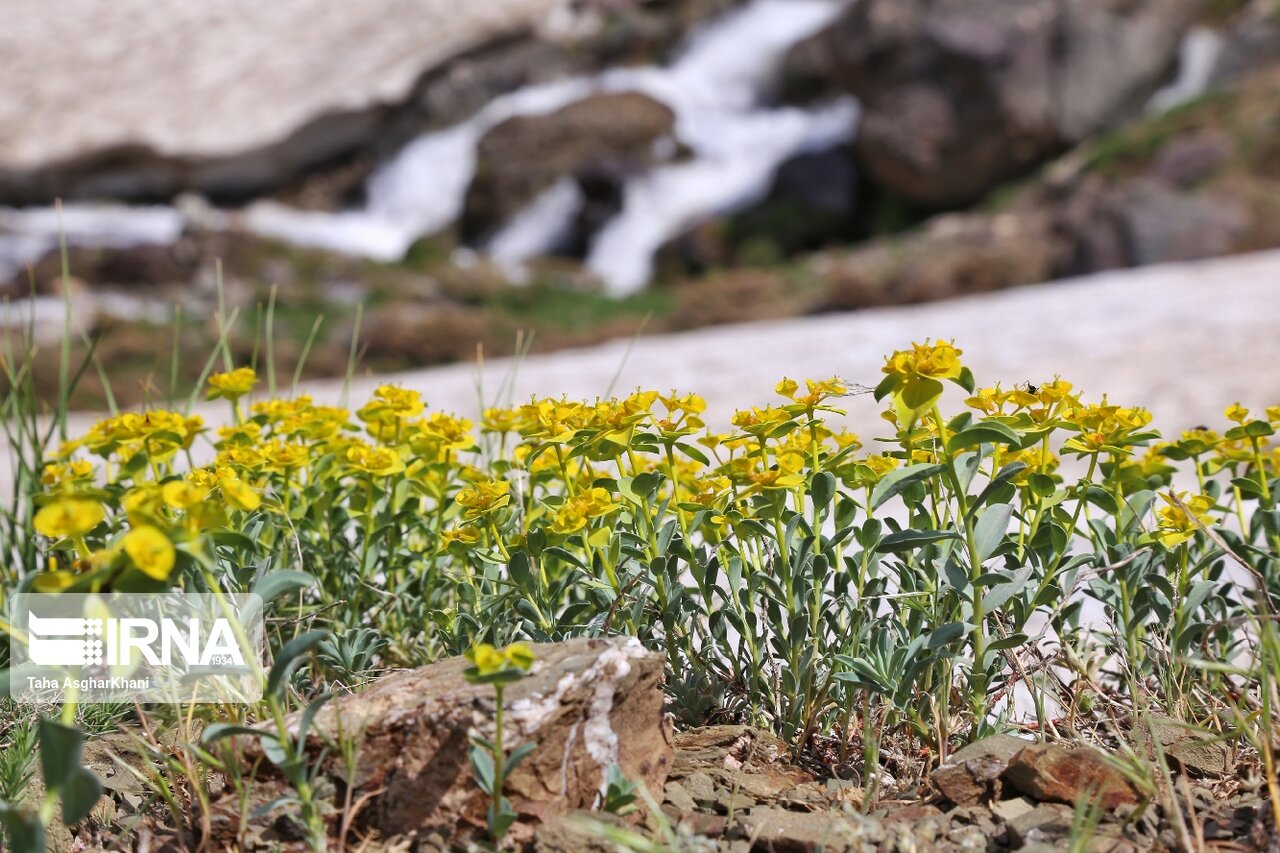 زیبایی های طبیعت کوهستانی ارومیه