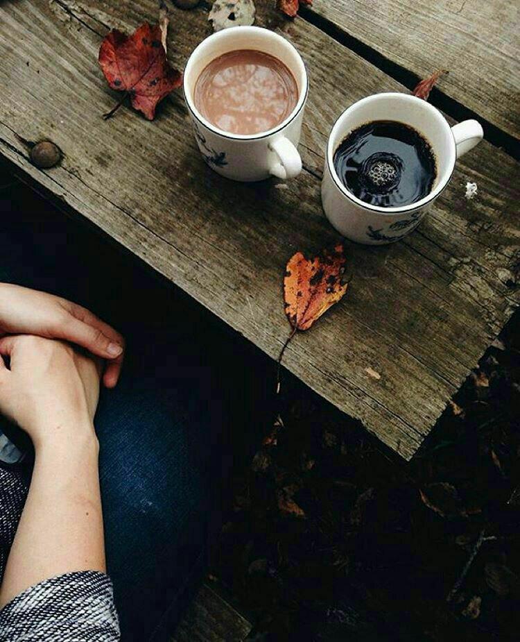 بخشی از کتاب/ چای دم کن و با غیابِ او حرف بزن
