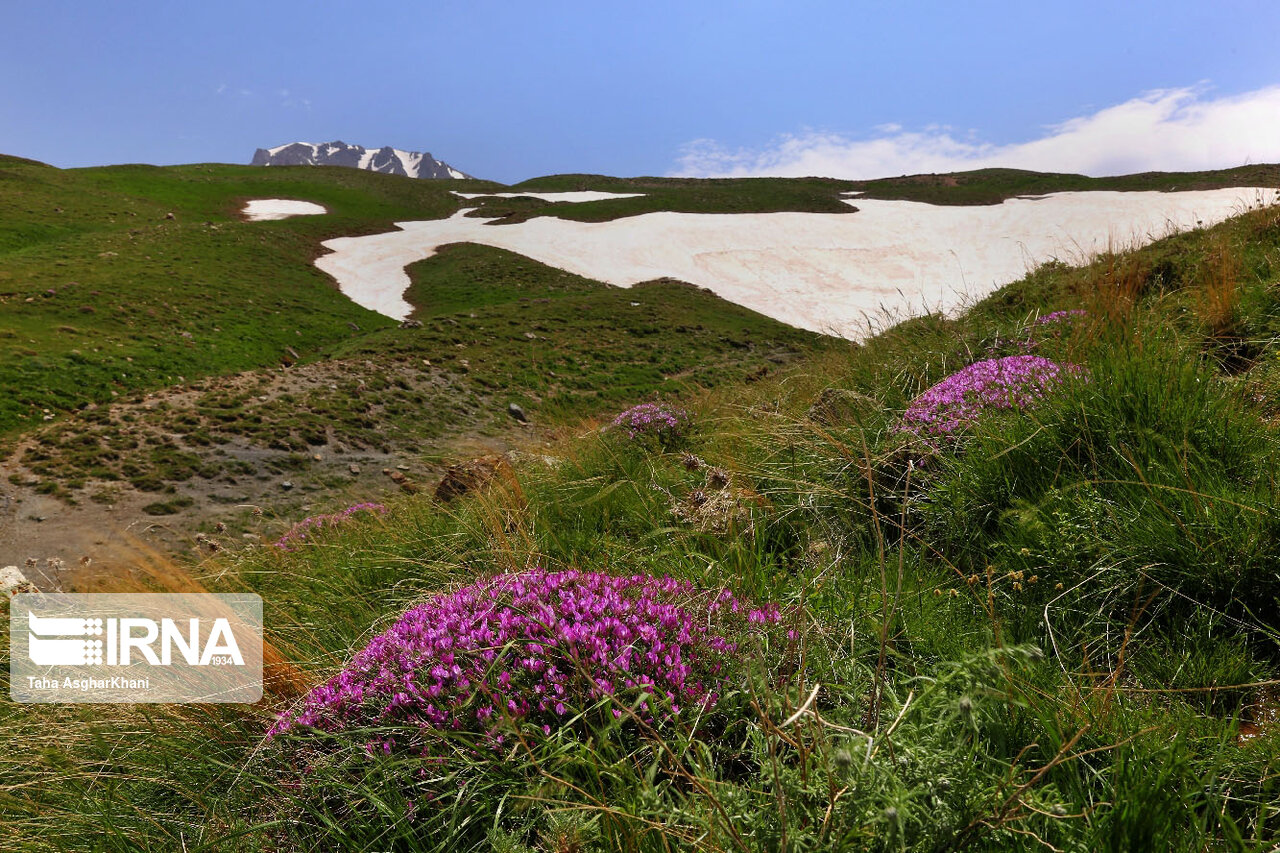 عکس/ طبیعت کوهستانی ارومیه‎