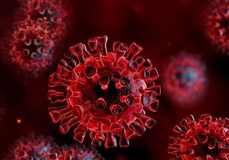 ۲۹ مورد جدید ابتلا به کرونا در ایلام