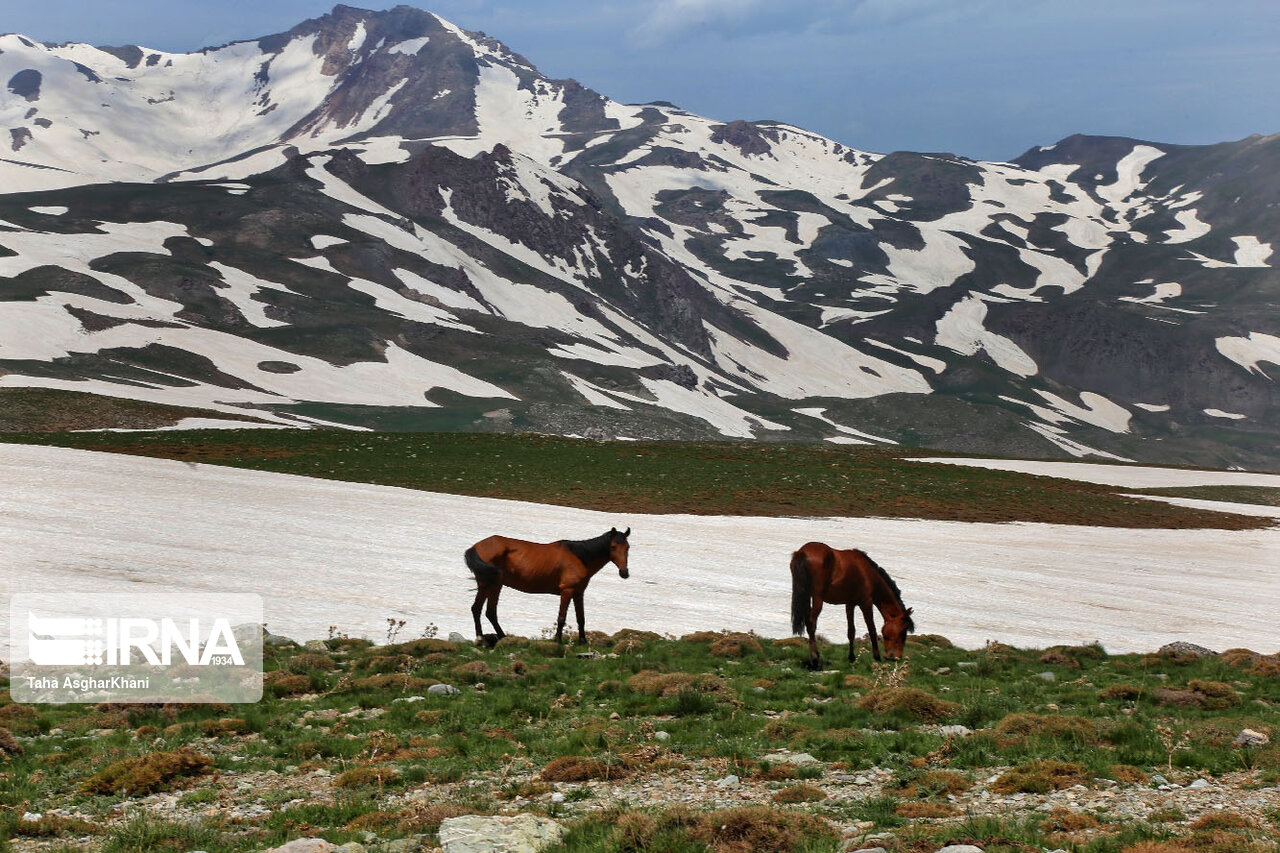 عکس/ طبیعت کوهستانی ارومیه‎
