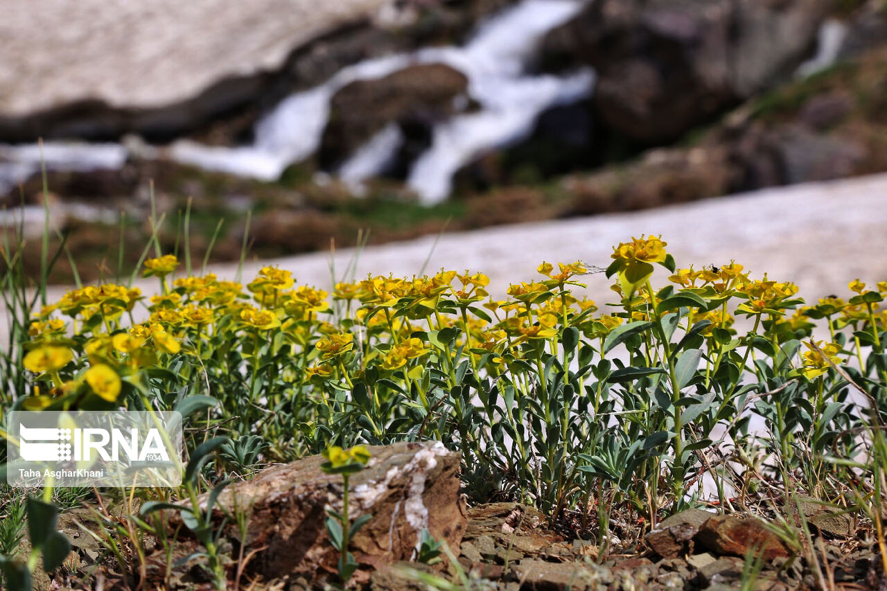 عکس/ طبیعت کوهستانی ارومیه‎
