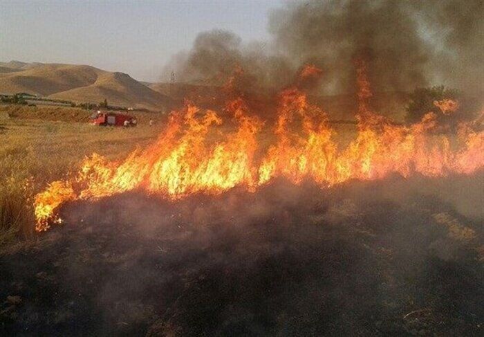 آتش سوزی ۱۷ میلیارد ریال خسارت به مزارع کشاورزی چرام زد