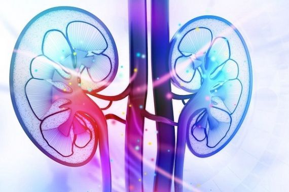 سودمندترین و مضرترین خوردنی‌ها برای کلیه‌ها