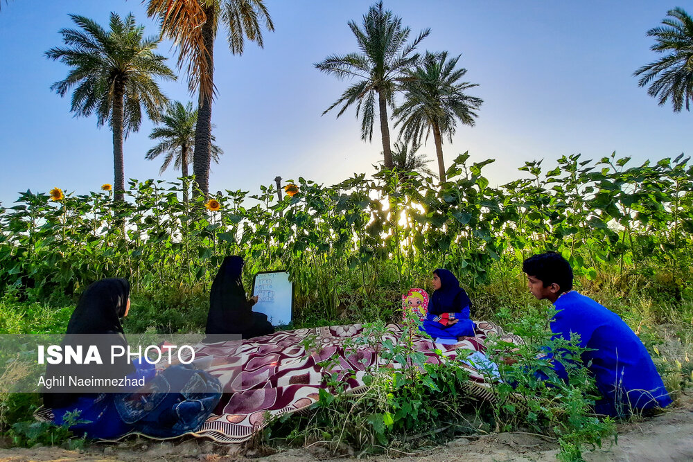 عکس های منتخب از هفته گذشته