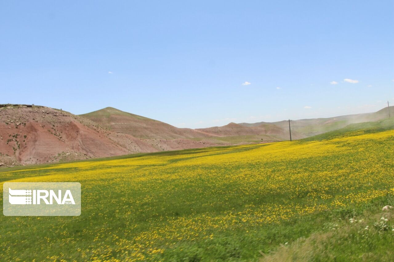  طبیعت زیبا و بِکر در مهاباد