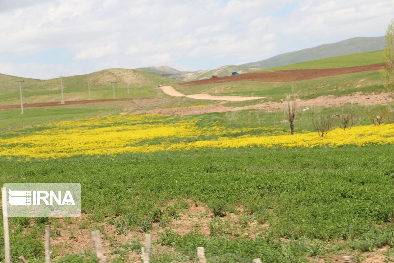  طبیعت زیبا و بِکر در مهاباد