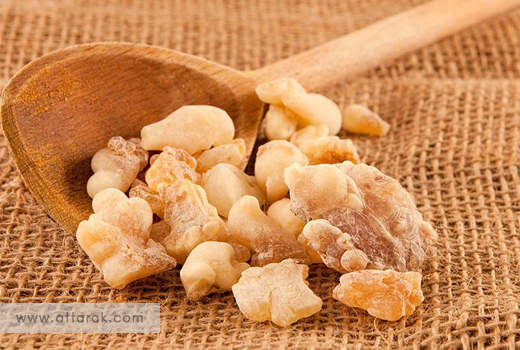 مرمکی گیاهی موثر در ترک اعتیاد