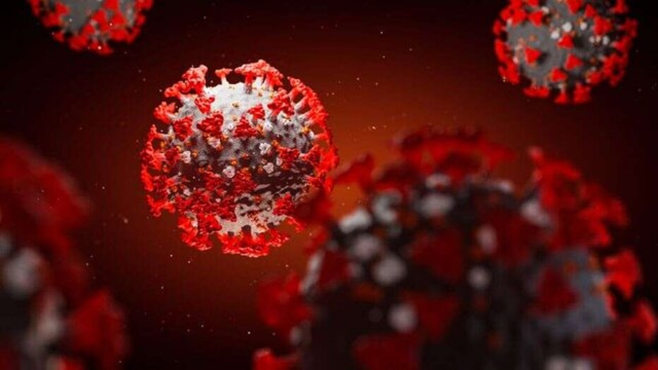 ثبت 5 مورد بستری بیمار مبتلا به کرونا در چهارمحال و بختیاری