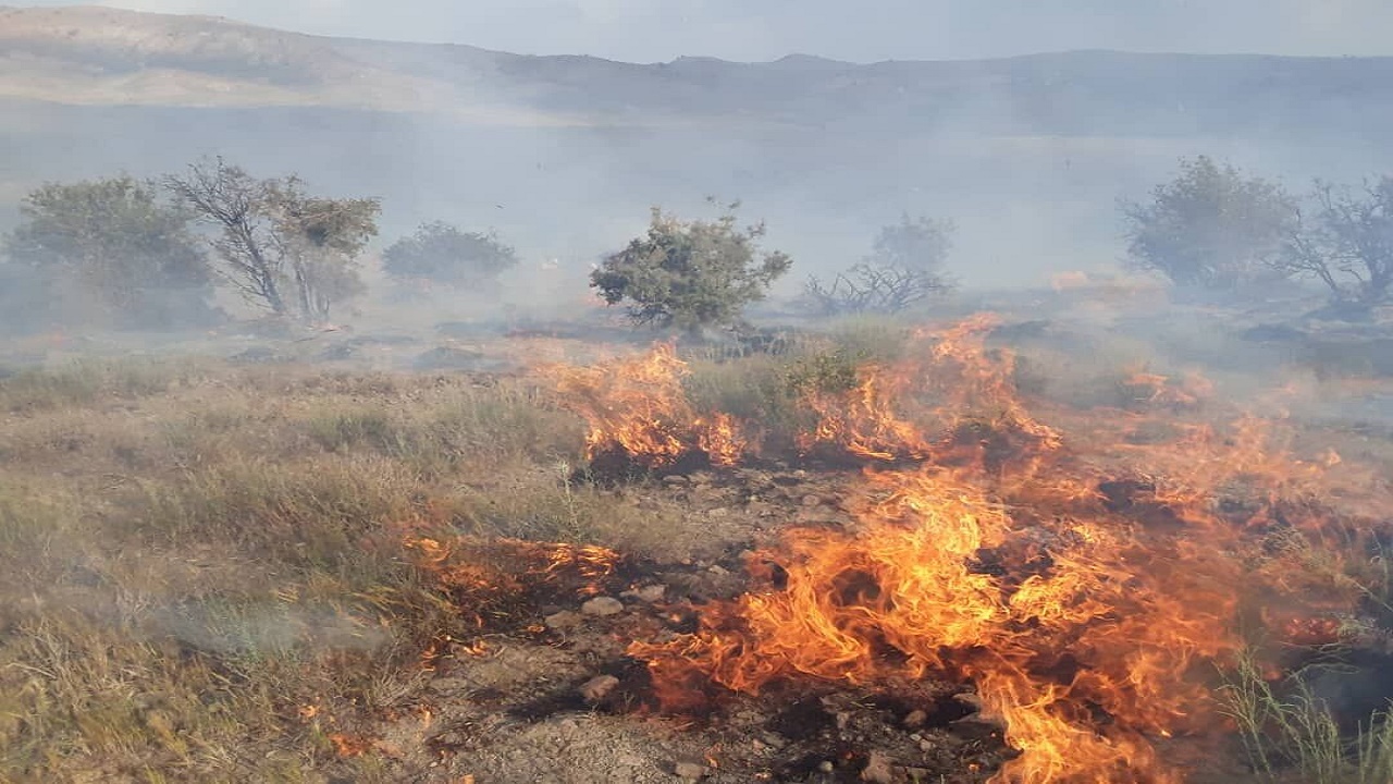 مهار آتش سوزی در مراتع روستای شول در گناوه